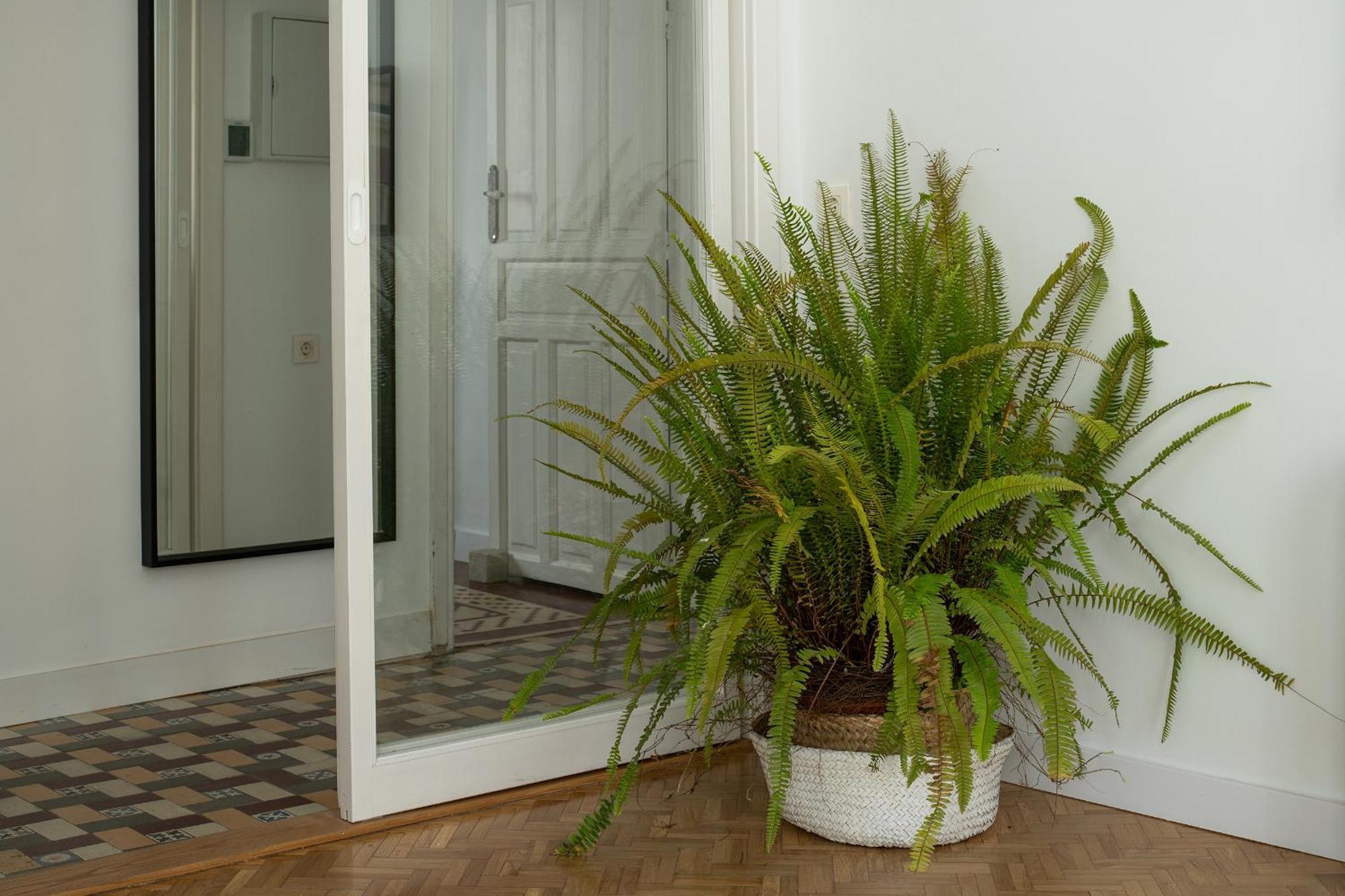 Parking Free, Granada Vintage Haven Apartment Exterior foto